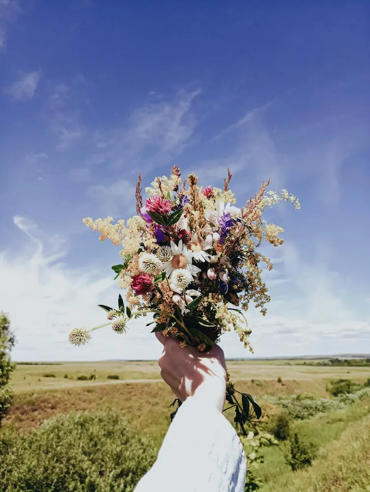 Main tenant un bouquet de fleurs sauvages (marguerites, trèfles et herbes dorées) levé vers un ciel bleu, au-dessus d’une prairie
