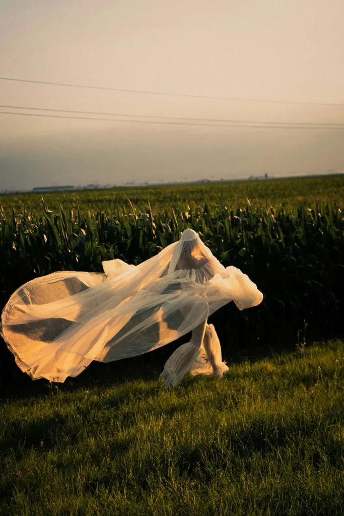 Mariée de dos dont le long voile de tulle s’envole dans le vent, devant un champ de maïs éclairé par une lumière dorée